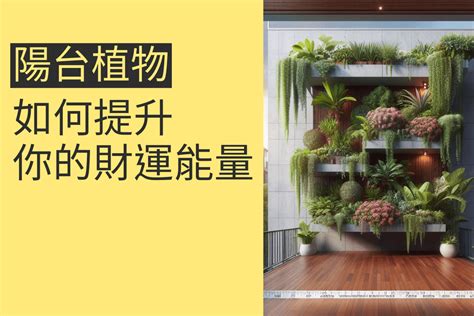 陽台植物招財|陽台植物招財秘笈：15種招財植物打造財源廣進 